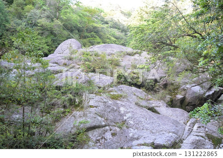 Yakushima trekking scenery 131222865