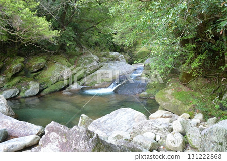 Yakushima trekking scenery Yakushima trekking scenery 131222868