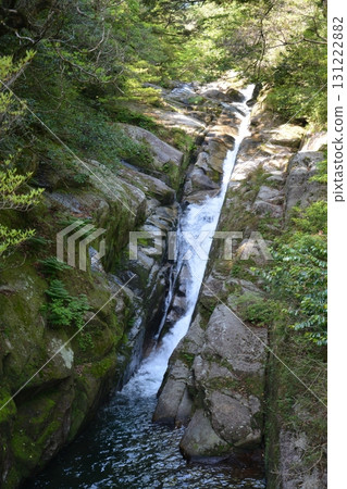 屋久島徒步風景 屋久島徒步風景 131222882