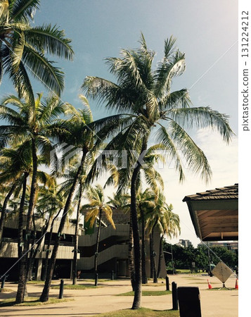 夏威夷景點 131224212