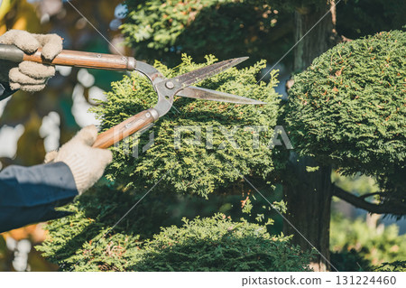 gents, male, man 131224460