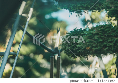 花園 院子 修剪 131224462