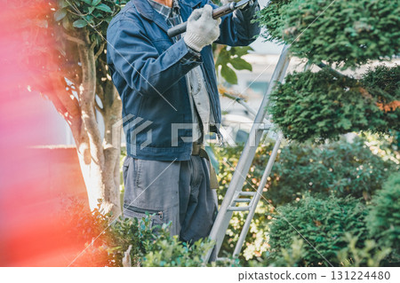 gardener, landscaper, pruning 131224480
