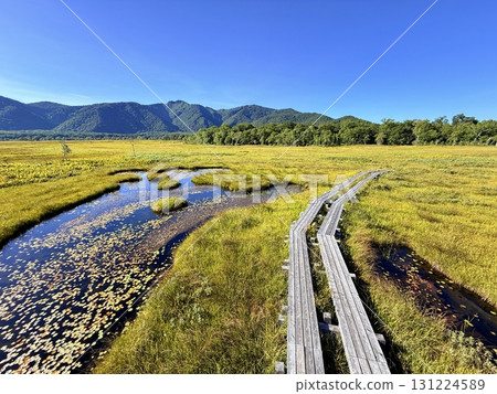 Gunma's Ozegahara marshland and boardwalk, a beautiful summer landscape 131224589