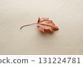 Falling Autumn Leaf. Autumn background 131224781