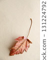 Falling Autumn Leaf. Autumn background. 131224792