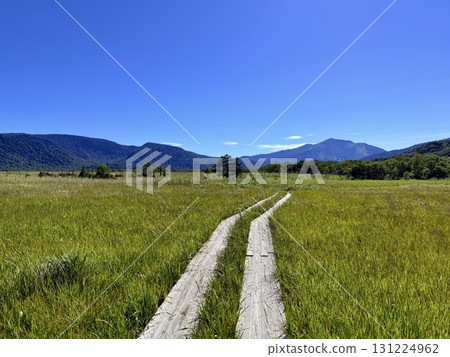 群馬縣尾瀨原的木板路和沼澤地的夏季風景 群馬縣尾瀨原的木板路和沼澤地的夏季風景 131224962