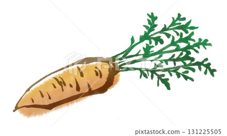 Carrot ink painting 131225505