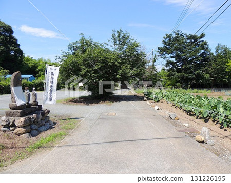 Chichibu Temple No. 22: Dojido 131226195