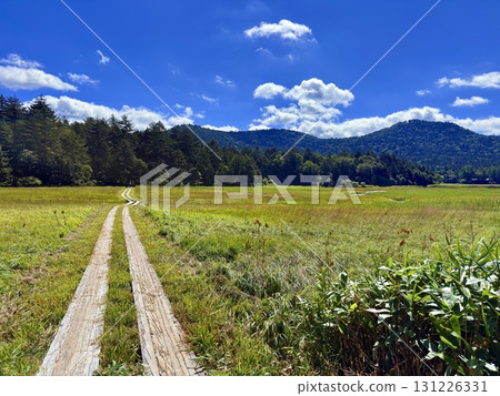 群馬縣尾瀨之原市尾瀨湖的木棧道和濕地的夏季風景 131226331