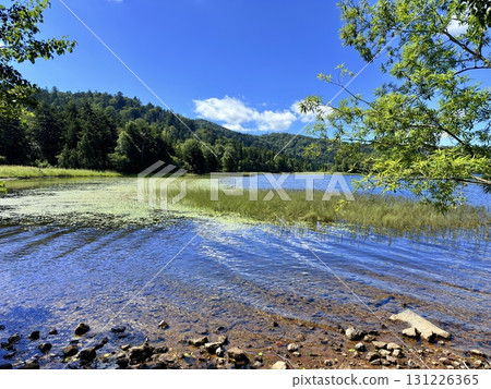 群馬縣尾瀨之原市尾瀨湖的木棧道和濕地的夏季風景 群馬縣尾瀨之原市尾瀨湖的木棧道和濕地的夏季風景 131226365