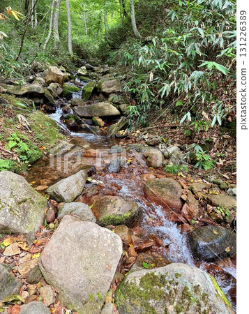Summer scenery of the boardwalk and marshland of Oze Lake in Ozegahara, Gunma 131226389