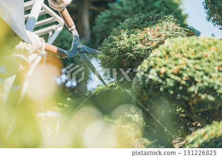修剪 園丁 男人 131226825