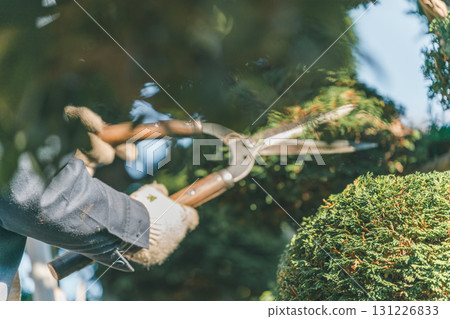gardener, landscaper, pruning 131226833