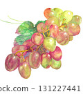 Kaiji 的葡萄水彩插圖 131227441