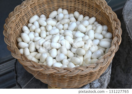 日本傳統工藝「絲織」 - 日本絲綢 - 三大天然材料（亞麻、棉、絲綢） - 日本旅遊旅遊背景素材 131227765