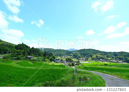 Beautiful scenery of blue sky and rice terraces 131227803