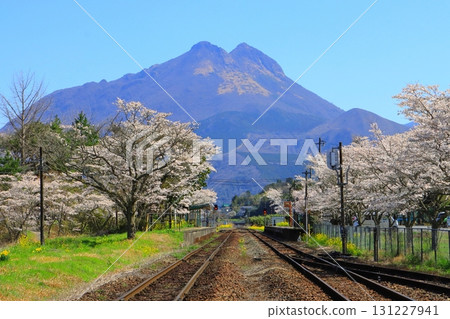 Minami-Yufu Station in spring (Mount Yufu, Yufuin Town, Yufu City) 131227941