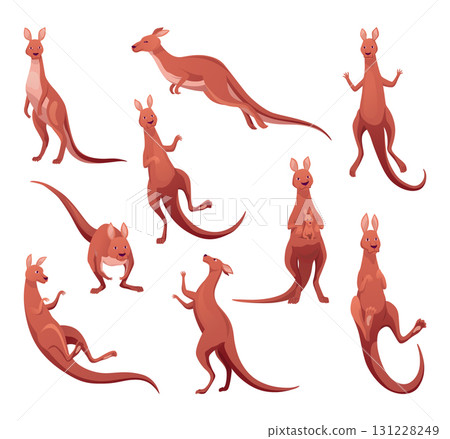 Kangaroo characters set in different poses. Adult kangaroo with pouch standing and jumping. Vector collection of flat cartoon animal australian fauna and wildlife, isolated on white background Kangaroo characters set in different poses. Adult kangaroo with pouch standing and jumping. Vector collection of flat cartoon animal australian fauna and wildlife, isolated on white background 131228249