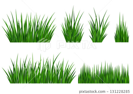 Green grass field. Meadow plant background. Border with realistic garden plants isolated on white background. Long leaves fresh foliage. Farm land vegetation 131228285