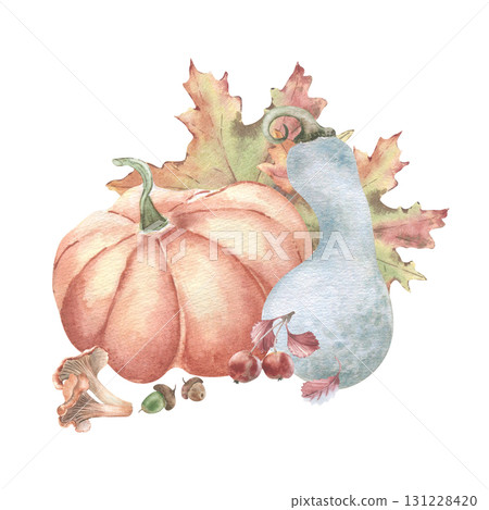 Rustic Pumpkin Watercolor illustration isolated. Round and whimsical pumpkins with wild harvest in maple foliage hand painted. Autumn drawing vintage for organic product labels, farmers packaging. 131228420