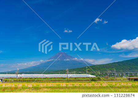 【靜岡縣】收割的稻田、新幹線、富士山 【靜岡縣】收割的稻田、新幹線、富士山 131228674