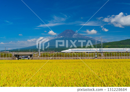 [Shizuoka Prefecture] Rice fields undergoing harvesting, the Shinkansen, and Mount Fuji 131228684
