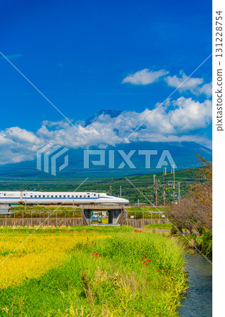 [Shizuoka Prefecture] Red spider lilies on the bank, the Shinkansen, and Mount Fuji 131228754