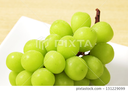 Shine Muscat 131229099