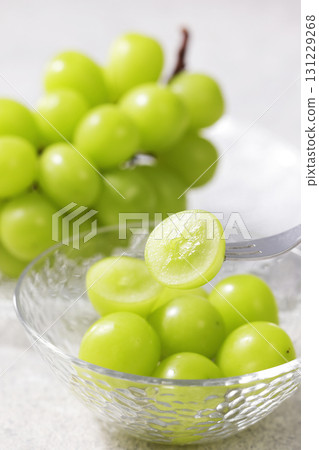 Shine Muscat Shine Muscat 131229268