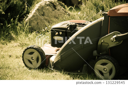 Gardening. Mowing green lawn with red lawnmower 131229545