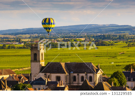 Balloon ride over Pommard village, France 131229585