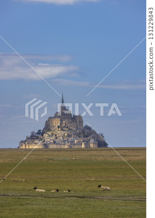 Mont Saint Michel, UNESCO site, Normandy, France 131229843