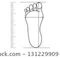 Foot size, shoe length measure. Footwear check. Footstep length and width on ruler. Line simple drawing. 131229909