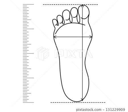 Foot size, shoe length measure. Footwear check. Footstep length and width on ruler. Line simple drawing. 131229909