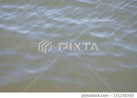 一群魚在海裡遊動 一群魚在海裡遊動 131230350