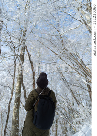 Looking up, you can see beautiful frost and blue sky Looking up, you can see beautiful frost and blue sky 131230360