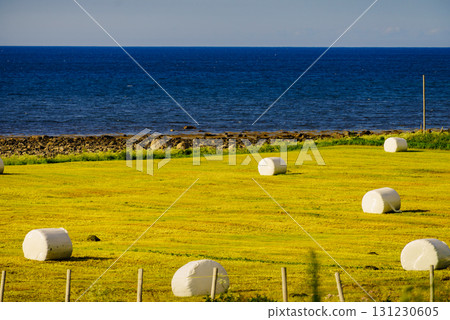 Bale of hay wrapped in plastic foil, Norway 131230605