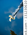 Propeller of boat on sea coast. 131230610