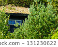 Norwegian house with grass roof 131230622