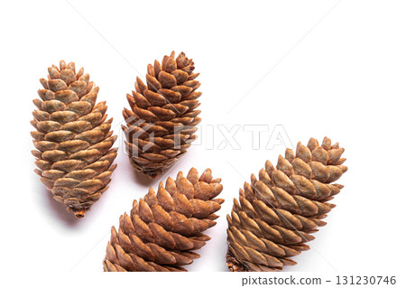 Fir cones isolated on white background Fir cones isolated on white background 131230746