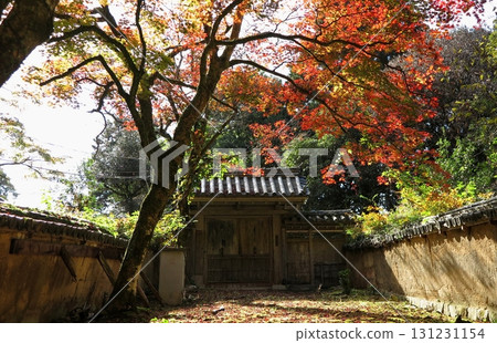 Image of the front gate of an abandoned temple covered with fallen leaves during the autumn foliage season 131231154