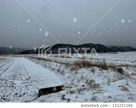 大和在冬天 大和在冬天 131231166