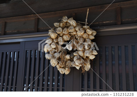 Ground cherry talisman 131231228