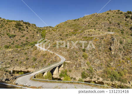 Parque Arqueologico Vale do Coa (Coa valley), UNESCO site, paleolithic rock art paintings, Northern Portugal, Portugal 131231416