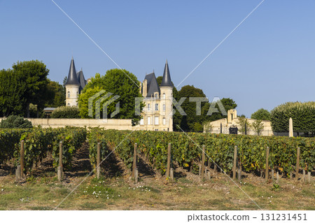 Typical vineyards near Chateau Pichon Longueville Baron, Bordeaux, Aquitaine, France Typical vineyards near Chateau Pichon Longueville Baron, Bordeaux, Aquitaine, France 131231451