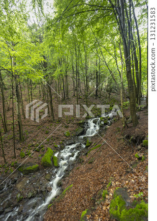 Starohutiansky waterfall near Nova Bana and Zarnovica, Pohronsky Inovec mountains, Slovakia Starohutiansky waterfall near Nova Bana and Zarnovica, Pohronsky Inovec mountains, Slovakia 131231583