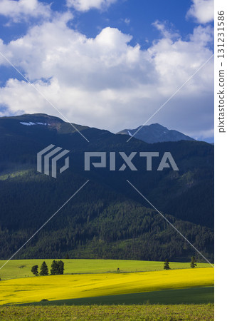 Western Tatras (Rohace) in spring time, Slovakia Western Tatras (Rohace) in spring time, Slovakia 131231586
