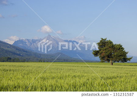 High Tatras with Krivan peak in spring time, Slovakia High Tatras with Krivan peak in spring time, Slovakia 131231587