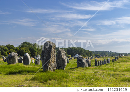 Standing stones (or menhirs) in Carnac, Morbihan, Brittany, France Standing stones (or menhirs) in Carnac, Morbihan, Brittany, France 131231629